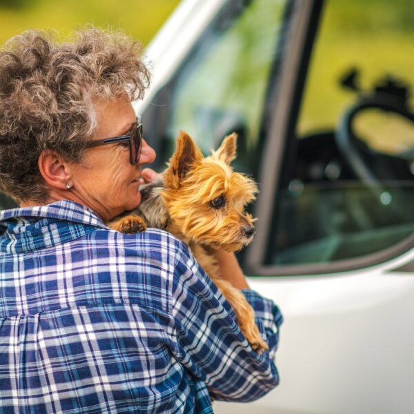 Jak bezpiecznie przewozić zwierzęta w samochodzie: wskazówki i przepisy.